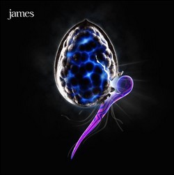 James - The Night Before